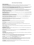 ap psych exam review sheet