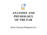 Secondary Parts and Function of the Ear