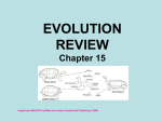 evolutionreview15only