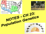 Population Genetics - wlhs.wlwv.k12.or.us