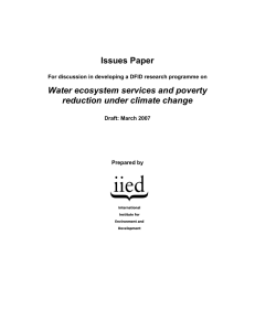 PDF - IIED - International Institute for Environment and