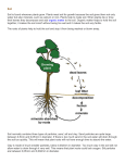 Soil Info - Armuchee Middle School