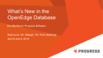 What`s New in The OpenEdge RDBMS in Version 11?