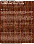 effects of acid rain on terrestrial ecosystems