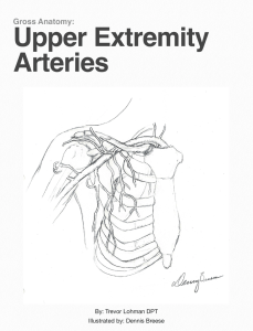 UE Arteries - AandPonline.com
