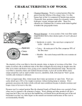 Characteristics of Wool 2