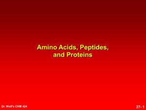 Chapter 27 Amino acid