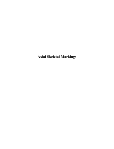 Axial Skeletal Markings