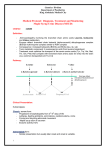 Guidelines MSUD