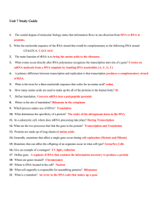 Unit 7 Study Guide ANSWERS 2014