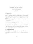 Algebraic Topology Lecture 1