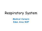 Respiratory System