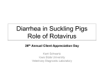 Understanding Rotavirus – Dr. Kent Schwartz