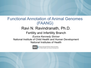 Functional Annotation of Animal Genomes (FAANG)