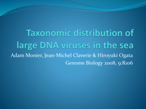 Taxonomic distribution of Large DNA viruses in the sea