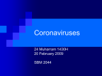 coronaviruses-sars - Biomedic Generation