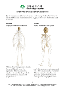 Nervous System (NSP)