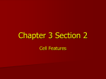 Chapter 3 Section 2 - Blue Earth Area Schools