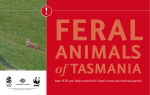 Feral Animals of Tasmania - Department of Primary Industries, Parks