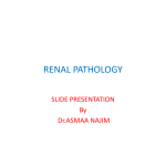 RENAL PATHOLOGY