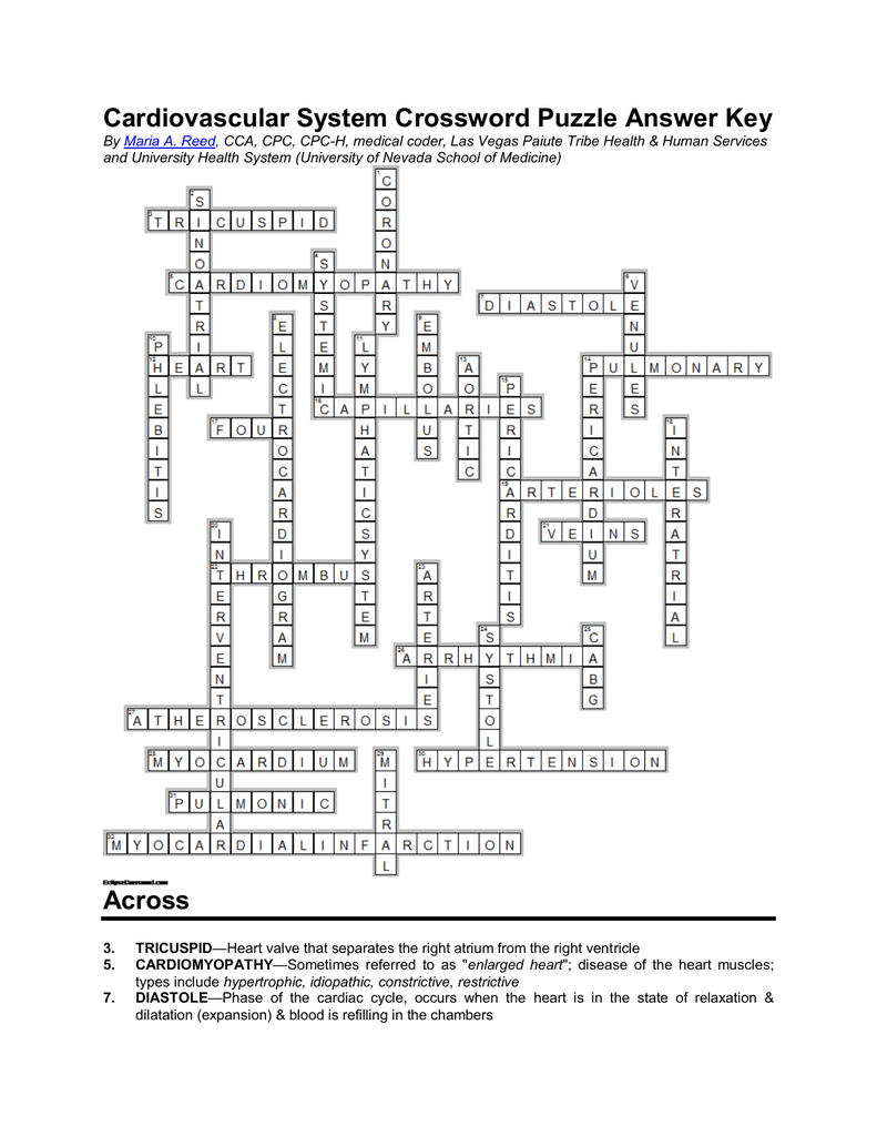 Respiratory word search 25 respiratory system crossword 26 the oxygen treas...