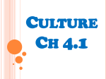 Culture Ch 4.1 - slhsworldgeography