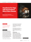 Anesthesia for Dogs with Myxomatous Mitral Valve Disease