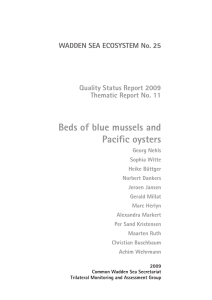Beds of blue mussels and Pacific oysters