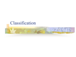 Classification Notes - Thunderbird High School