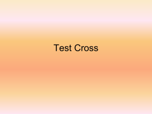 Test Cross