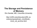 The Storage and Persistence of Memory