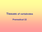 22-Premedical_Tissue