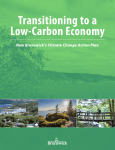Transitioning to a Low-Carbon Economy