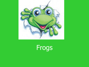 Frogs - Groupfusion.net