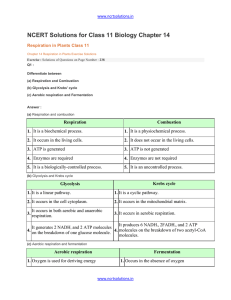 chapter_14_respiration_in_plants