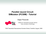 PPT - Neural Micro circuits