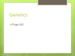 genetics_1