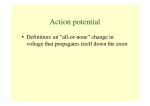 Action Potential 2