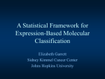 A Statistical Framework for Expression
