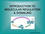 Intro To Molecular Regulation And Signaling