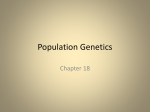 Population Genetics