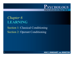 Chapter 6 LEARNING