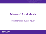 Microsoft Excel Mania