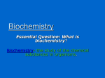 Essential Question: What is biochemistry