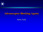 Adrenoceptor Blocking Agents