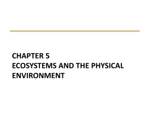 chapter 5 ecosystems and the physical environment