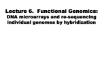 DNA microarrays and re-sequencing individual genomes by