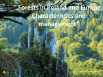 Slajd 1 - YPEF Young People in European Forests