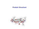 L2_Protein Structure_12_Jan