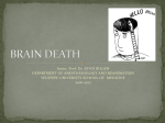 brain death - WordPress.com